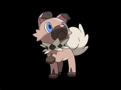 Usum own tempo rockruff (evolves to dusk forme lycanroc). Aislamy: Lycanroc Dusk Form Cry