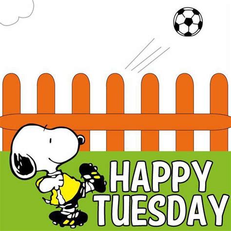 Check spelling or type a new query. Snoopy Happy Tuesday Pictures, Photos, and Images for ...