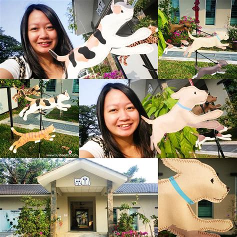 Check spelling or type a new query. SPCA Ampang @ Selangor 雪兰莪防虐动物协会