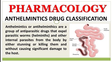 How quickly can you become tefl qualified and find a job? Medicamente anthelmintice pinworm, Anthelmintic Drug Group ...