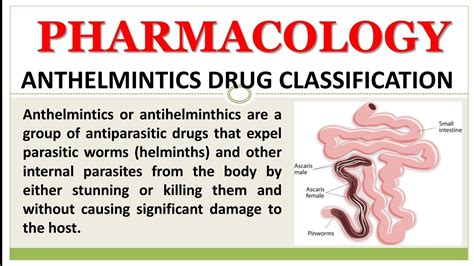 How long did it take for your symptoms to go on the ciprofloxacin? Medicamente anthelmintice pinworm, Anthelmintic Drug Group ...