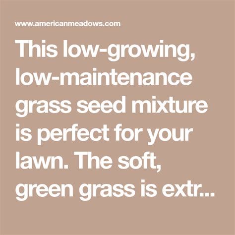 Check out our fescue seed selection for the very best in unique or custom, handmade pieces from our craft supplies & tools shops. Low Work and Water Dwarf Fescue Grass Seed | Grass seed ...