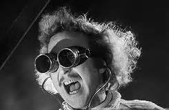 Young frankenstein believes that the work of his grandfather is only crap, but when he discovers the book where the mad doctor described his reanimation experiment, he suddenly changes his mind. YOUNG FRANKENSTEIN | STEAMPUNKAPOTAMUS!