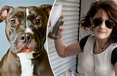 dog sex bestiality woman having pet film jail after her faces admitting repulsive person express she had pitbull who