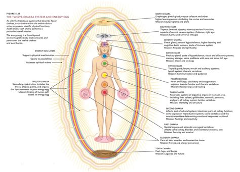 82 learn to experience the power held with our sexual energy and how it can be channeled into greater, more productive, aspects of our lives. Human Energy Fields - naturalhealthperth.com