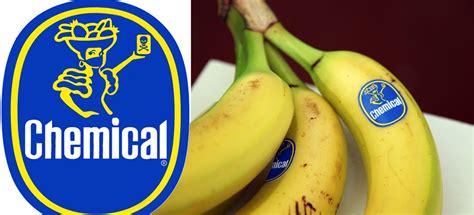 Chiquita brands international sàrl, formerly known as chiquita brands international inc., is a producer and distributor of bananas and other. Chiquita Banana Threatens Legal Action Against Emeryville ...