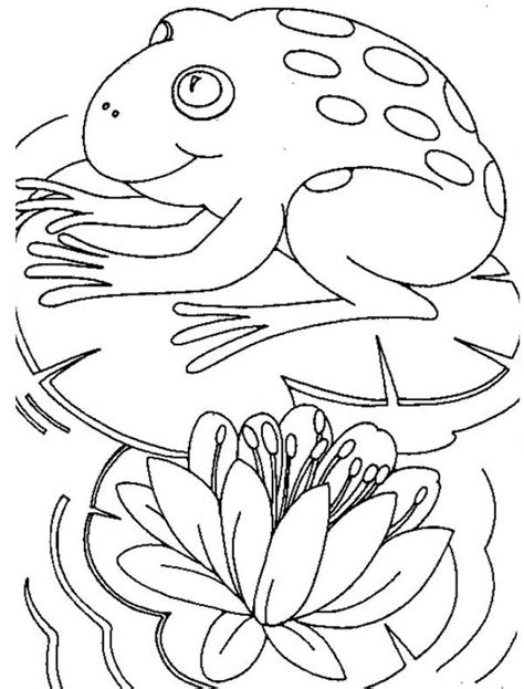 Check spelling or type a new query. A Big Frog And Water Lily On A Quiet Water Coloring Page ...