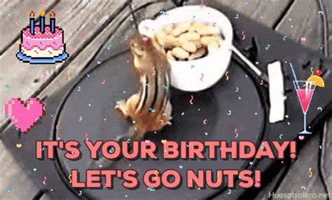 Alternatively, you can add some happy birthday images to make a gif. Birthday Squirrel GIFs - Find & Share on GIPHY