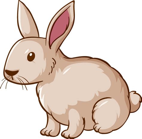 rabbit cartoon image