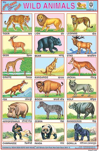 Coral fragments or pictures of a reef microscopes magnifying glasses plant slide (onion skin) animal slide (cheek scraping or if access a polyp) overhead projector Indian Book Depot - Educational Charts in 2020 | Wild animals list, Animals wild, Cute wild animals