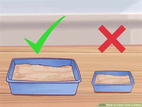 Save 10% with tray subscription. 3 Ways to Litter Train a Kitten - wikiHow