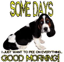 You can click on any glitter image to open specific good morning gif detail. Dog Pee GIFs | Tenor