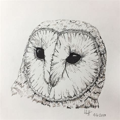 Here presented 55+ owl ink drawing images for free to download, print or share. Barn owl ink drawing | Drawings, Barn owl