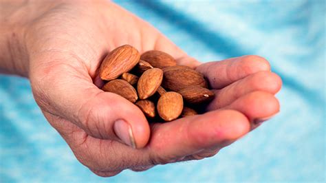 In 16th century, pecans were firstly known to europeans. Tip: The Snack That Shrinks Love Handles | T Nation