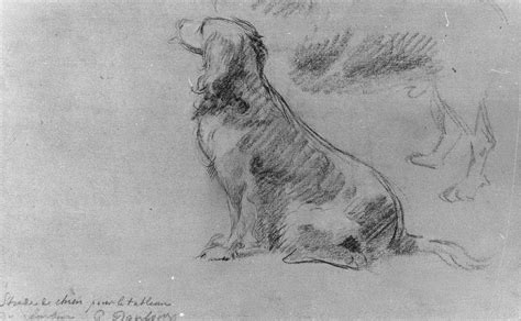 Noble Beasts: 6 Notable Pets Who Were Owned by Royals ...