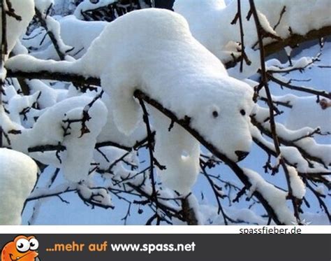 Gif lustige bilder schneeräumen : Lustige Schneebilder Spruche