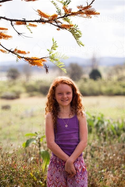 Silky oak (grevillea robusta) is a very beautiful native australian tree. Image of Young girl standing under a Silky Oak tree ...