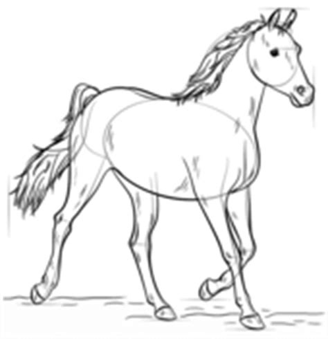 We did not find results for: How to draw a running horse | Step by step Drawing tutorials