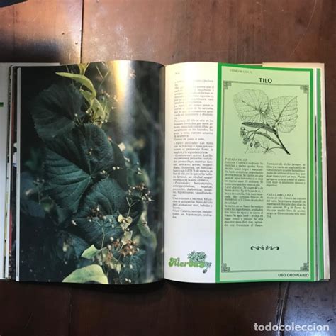 Scribd es red social de lectura y publicación más importante del mundo. el maravilloso mundo de las hierbas 10 vol - jo - Comprar Libros de biología y botánica en ...