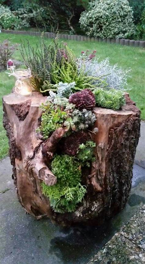 © holger schossig selbstgemachte dekoration, wie diese burgruine aus stein, ist im garten ein echter hingucker. Dekoration: Hauswurz wächst im Baumstamm # Garten Idee ...