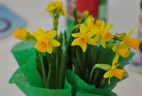 Eine neuerliche auflage der erfolgreichen haus & garten messe in wr.neustadt öffnet seine pforten und wir sind dieses mal mitdabei. Haus & Garten 2014 in Wr. Neustadt