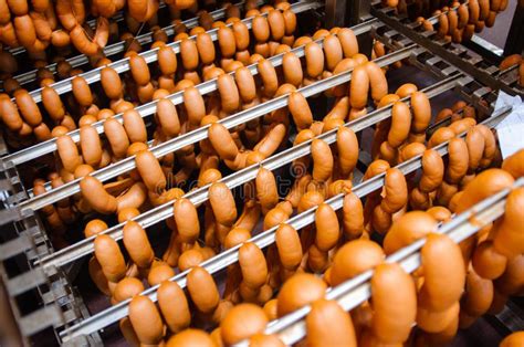 Sausage is any meat that is chopped, seasoned and formed into a symmetrical shape. Sausage. Sausage Production Line. Process Of Sausage ...