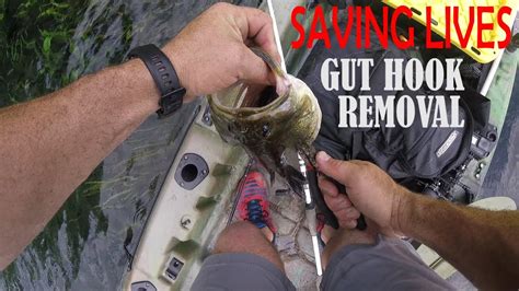 But how do you use a tap and die set the right way? How to Remove a Gut, Gullet Hooked Bass. Saving Fish Lives ...