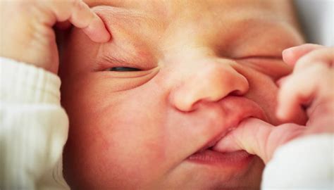 The design, quality and overall product is just fantastic and one i would highly recommend. The 10 Most Gag-Worthy Parts of Newborn Babies