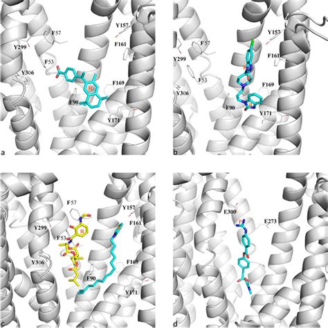 Look up ligand in wiktionary, the free dictionary. Representative binding modes of ligands matching each ...