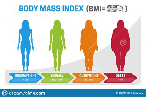 Bmi rechner frau und mann: BMI Body Mass Index Vector Illustration Mit Frauen ...