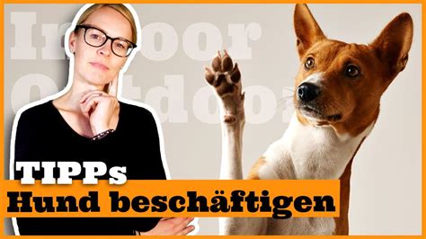 Für deinen hund ist es in ordnung, zu sterben. Hund zu Hause geistig beschäftigen I Beschäftigungstipps ...