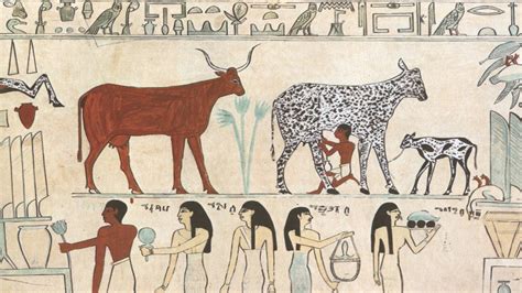 Egyptian Domesticated Animals | Egypt animals, Ancient ...