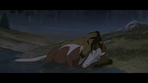 Spirit and Rain | Spirit and rain, Spirit the horse, Spirit horse movie