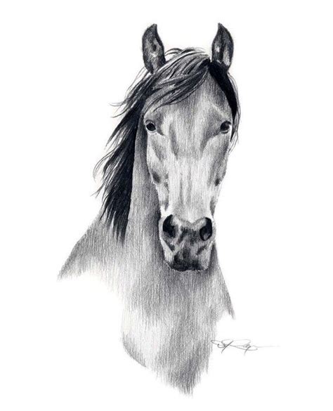 They descended from horses that were brought to the country by the spanish in the 1500s. MUSTANG HORSE Pencil Drawing Art Print by Artist DJ Rogers | Animal drawings, Horse drawings ...