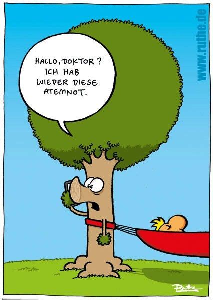 A cartoon is a drawing. 141 besten Baum Witz Bilder auf Pinterest | Lustige bilder ...