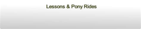 We also provide pony ride services for children's birthday parties and petting zoo as well. Services - Haland Stable