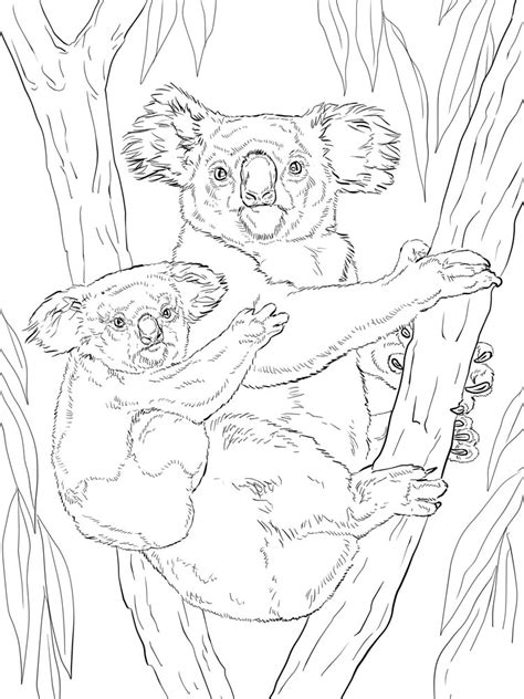 We have collected 40+ koala bear coloring page images of various designs for you to color. Koala coloring pages. Download and print Koala coloring pages
