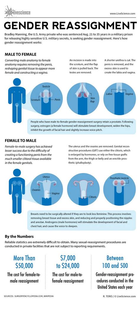 Sexual orientation is stable and lauren is a fluid pansexual female, the actress explains of her character's intention to get over a man by finding a woman. Pin on Transgender Pride!!! LGBTQ Pride!!! ️ ️ ️