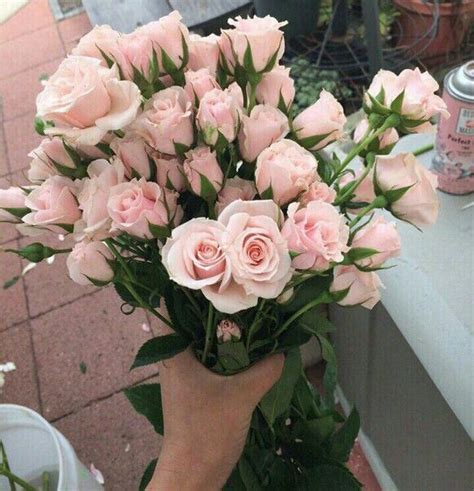 Check spelling or type a new query. Pin by ꧁ 𝒥𝒶𝑒𝓁 ꧂ on моё | Flowers bouquet, Flowers for ...