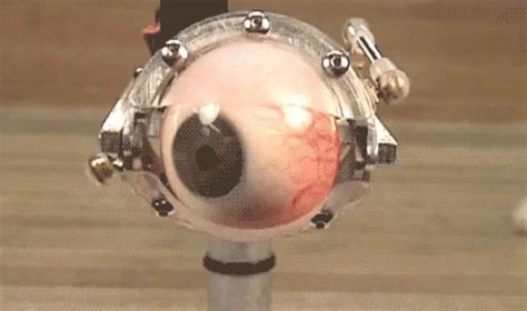 27 мин и 18 сек. Épinglé par jonathan stilz sur gif | Yeux dessin, Illusion optique, Gif animé
