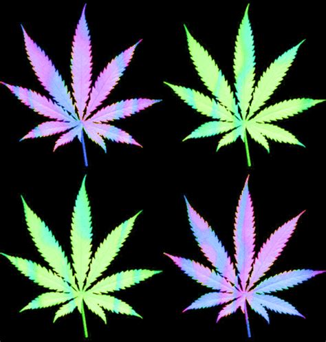 Get trippy weed wallpapers and join the tripster movement today! marihuana gifs | WiffleGif