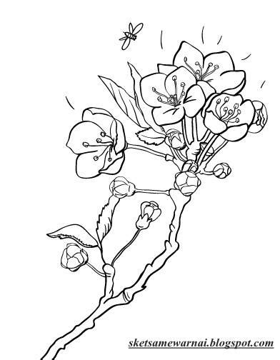 Tato bunga sakura, tato bunga sakura jepang, tato bunga sepatu, tato bunga simpel, tato bunga simple, tato bunga tangan, 20 contoh desain tempat tidur gantung minimalis terkini;. Sketsa Mewarnai Gambar Bunga Sakura - Sketsa Mewarnai
