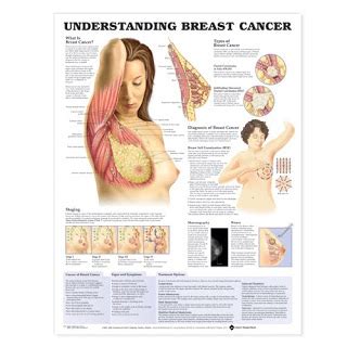 They might show up on your chest or under your armpit. Health Articles: What You Need to Know About Breast Cancer ...