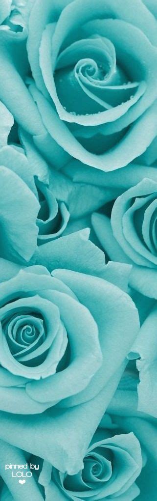 Simple tiffany blue advanced color background. Pin on flores