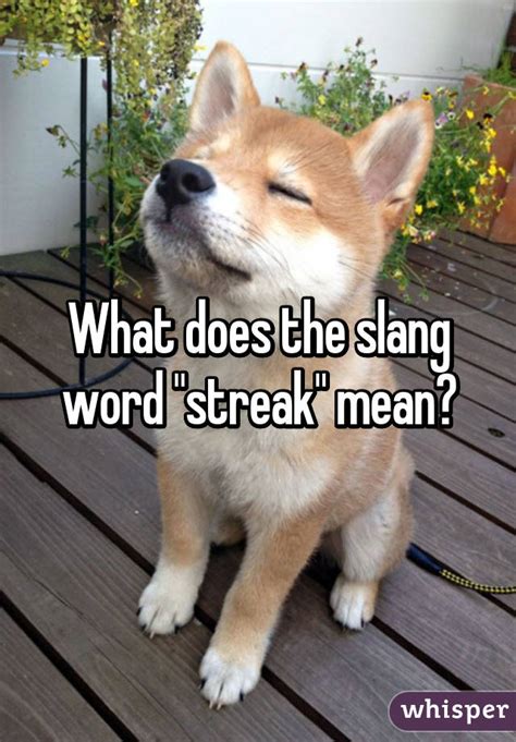All of our slang term and phrase definitions are made possible by our wonderful visitors. What does the slang word "streak" mean?