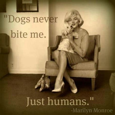 Marilyn Monroe | Zitate, Hundeliebe, Malteser