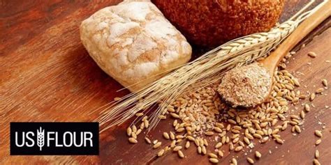 Jul 14, 2021 · to make ezekiel 4:9 bread, food for life first sprouts the grains wheat, barley, millet, and spelt, plus the lentils and soybeans. Barley Bread Benefits : Rye Benefits And Its Side Effects ...