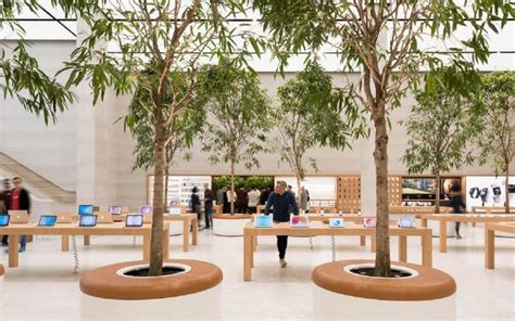The location marks apple's 497th retail store. Lots of trees and sunlight - Inside London's newest Apple ...