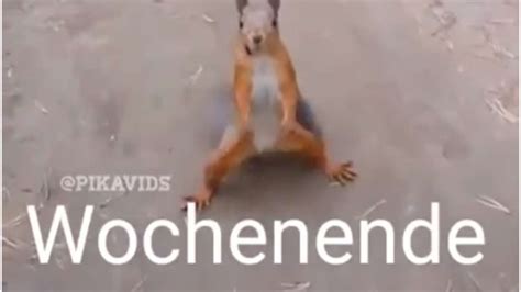 Machst du etwas besonderes, um gesund zu bleiben? Video des Tages: Endlich Wochenende! | Video des Tages