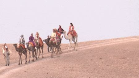 How do you have big fun in the hot desert sun? Let Us Never Forget This Iconic Housewives Camel Moment ...